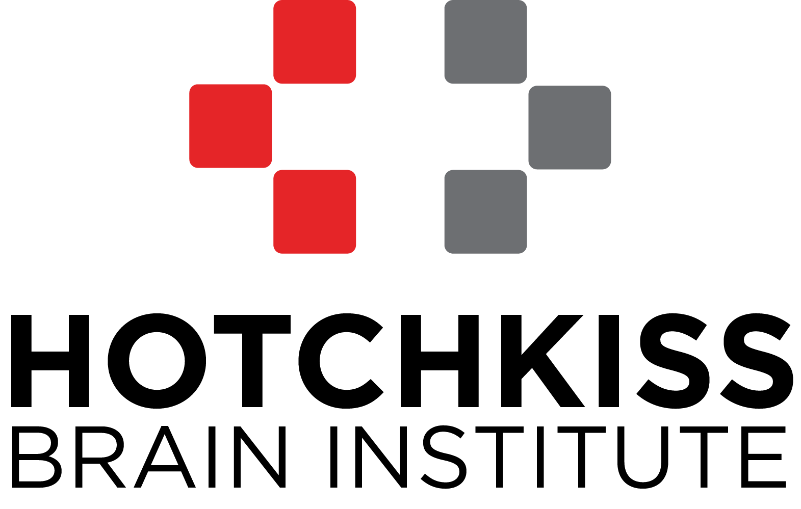 Visual Identity Hotchkiss Brain Institute University Of Calgary Visual identity hotchkiss brain institute university of calgary